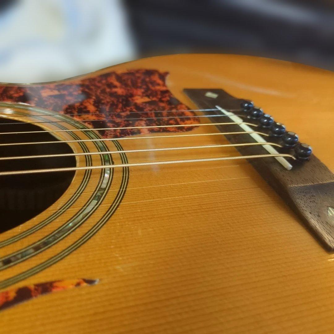 ARIA.希少ADL-05N トップ単板アコースティック ギター