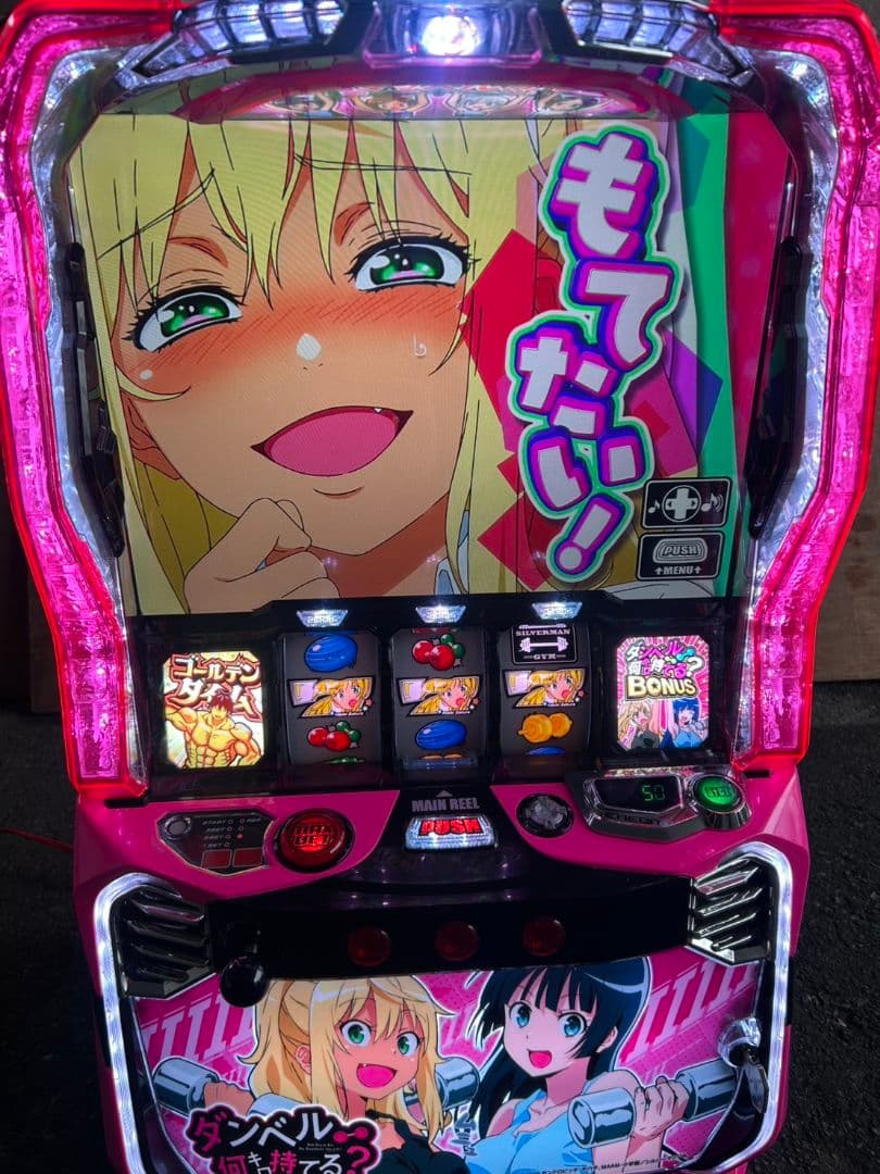 家庭用改造済み　スマスロ　Lダンベル何キロ持てる？X 送料込み