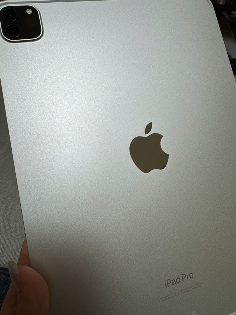 iPadPro 第4世代11インチ256GB Apple pencil第２世代