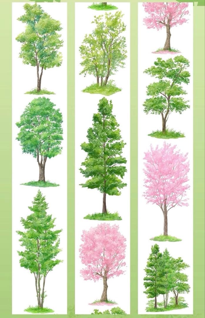 【8281】海外　マステ　5m巻売り　PETマスキングテープ　木