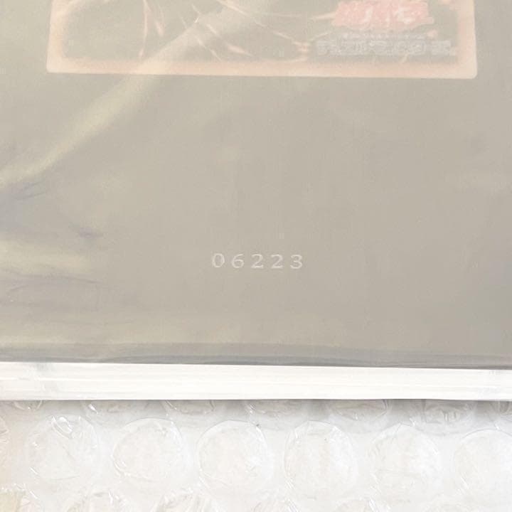 遊戯王 OCG ブラックマジシャンガール ステンレス製 10000個限定 当選品