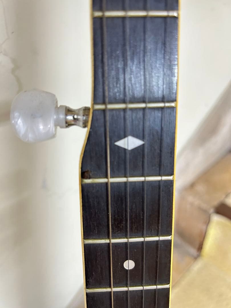 tenesy 5弦 Standard thumb バンジョー　 【手渡しのみ】