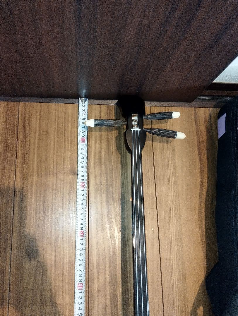 沖縄三線 本皮 蛇皮 ケース付き　 　298