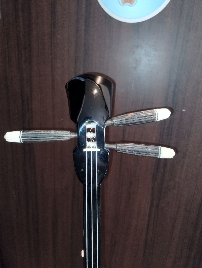 沖縄三線 本皮 蛇皮 ケース付き　 　298