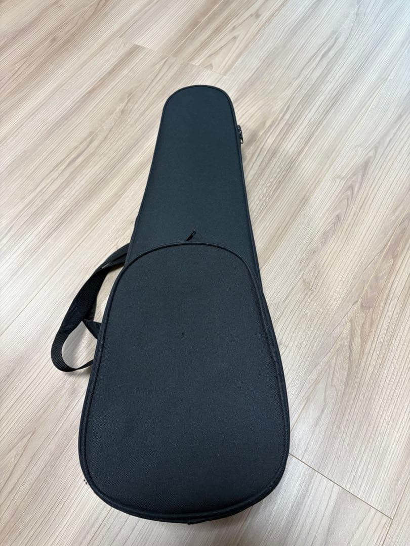 HORA Reghin ルーマニア　ホラ　レジン　1/4 バイオリン　2020年