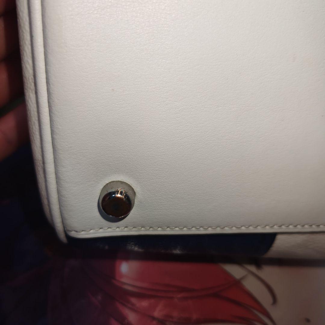 COACH ローアン サッチェル 騙し絵 2wayボストンバッグ