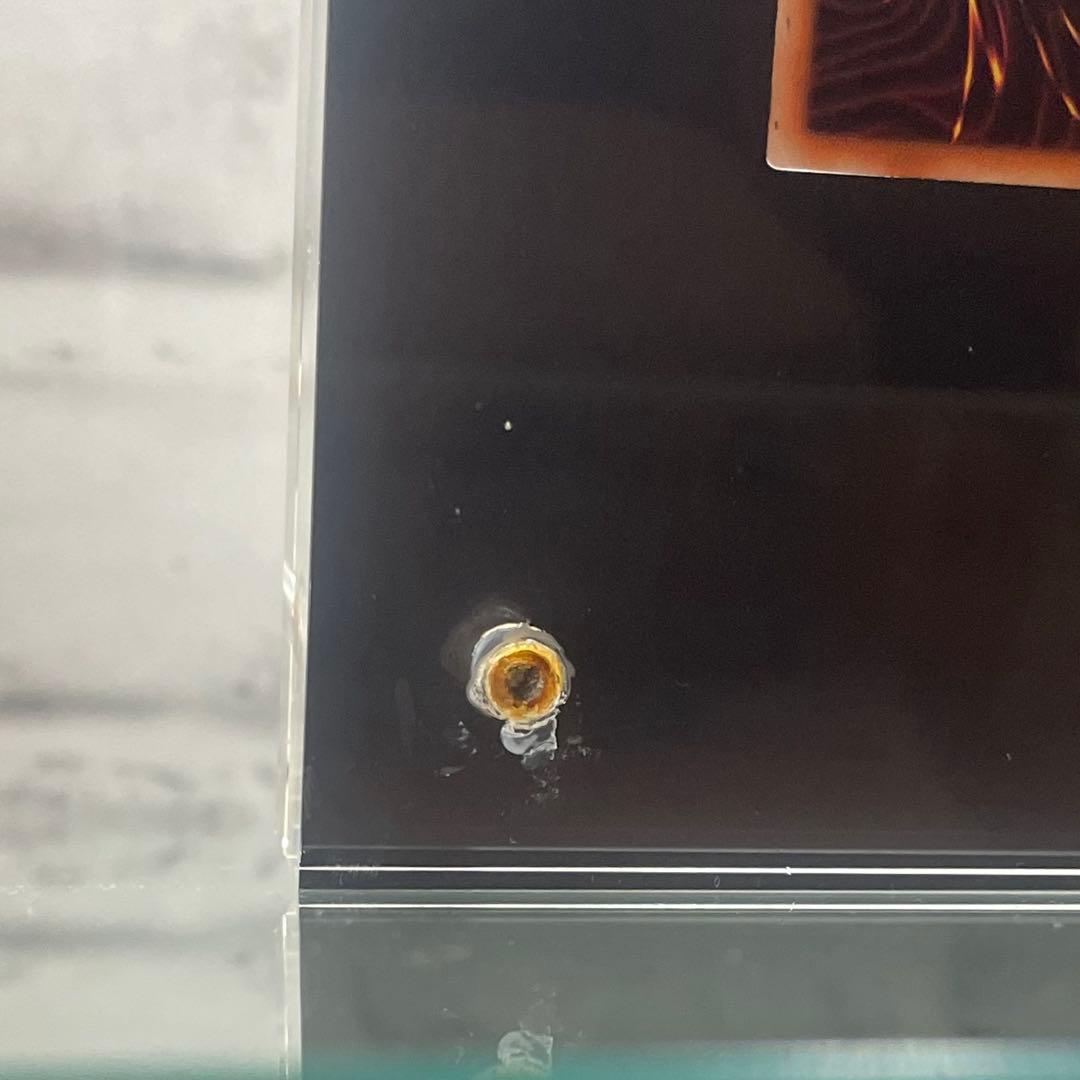 遊戯王OCG デュエルモンスターズ 青眼の白龍　シークレットレア　3枚　海馬