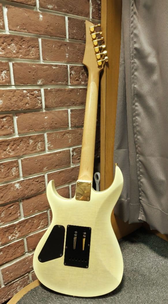 FERNANDES　フェルナンデス　FGZ