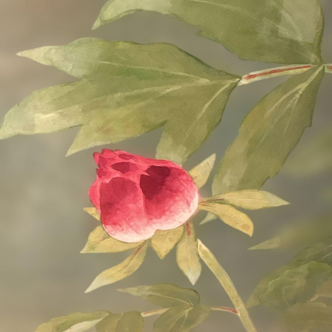 絵画　牡丹　　⚠️素人画