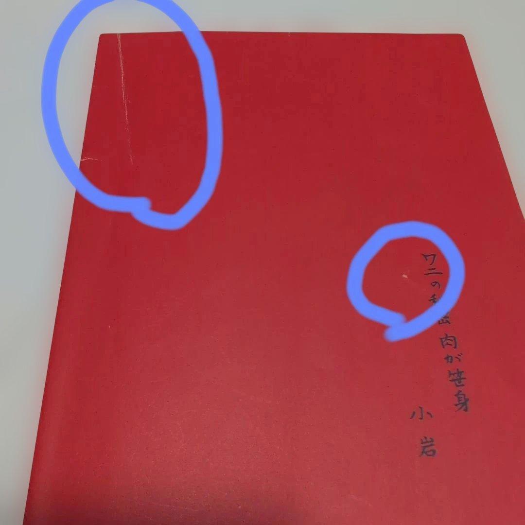 ワニを素手でつかまえる方法【小澤征悦さんの直筆サイン入り】