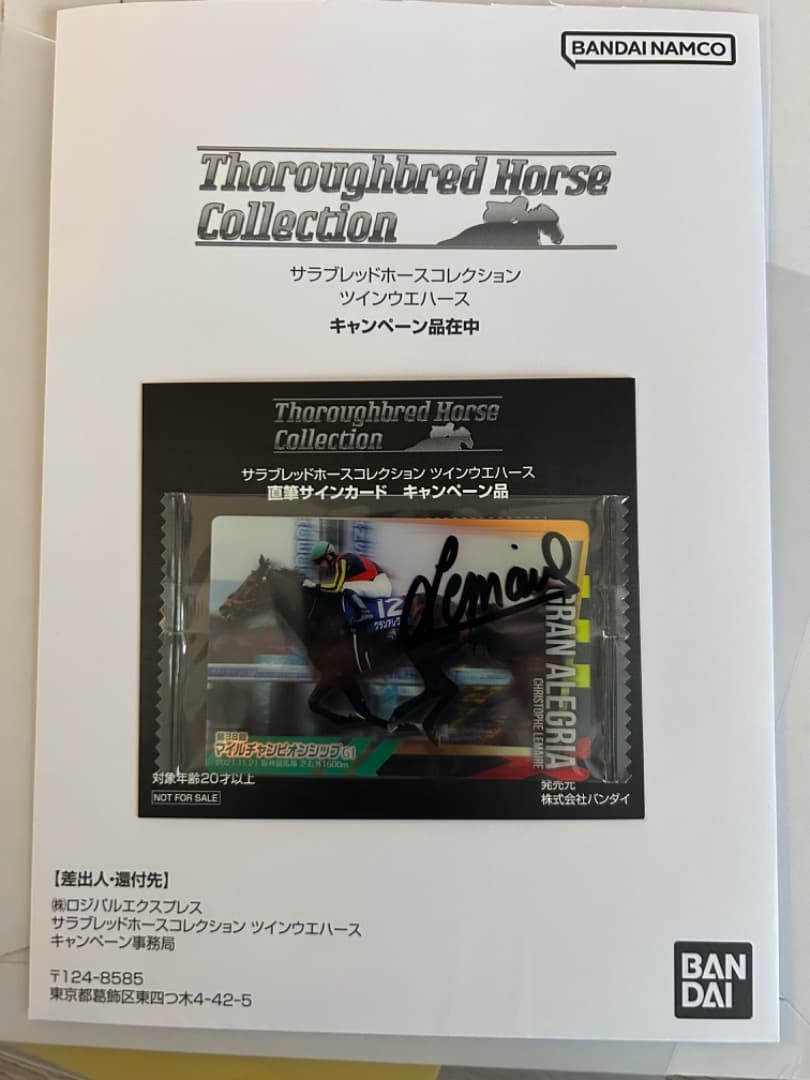 シマリスさん専用　サラブレッドホースコレクション