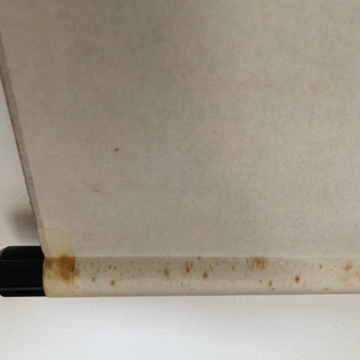 野村雪草 楊柳観音 絹本 掛軸 仏教美術 観音様