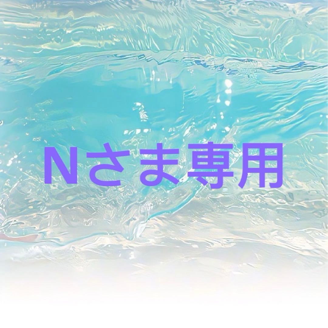Nさま専用