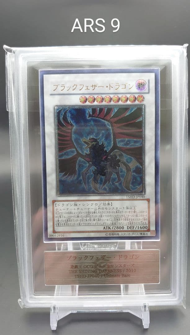 【ARS9】ブラックフェザー・ドラゴン レリーフ 鑑定書付き