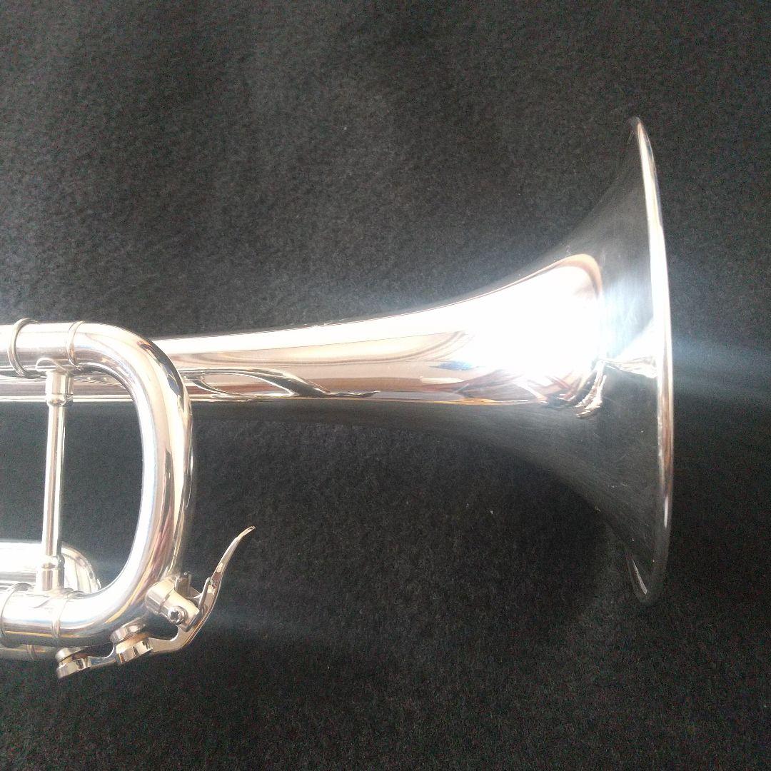 マルカートソフィアシリーズ。ヘビートリムキット付属