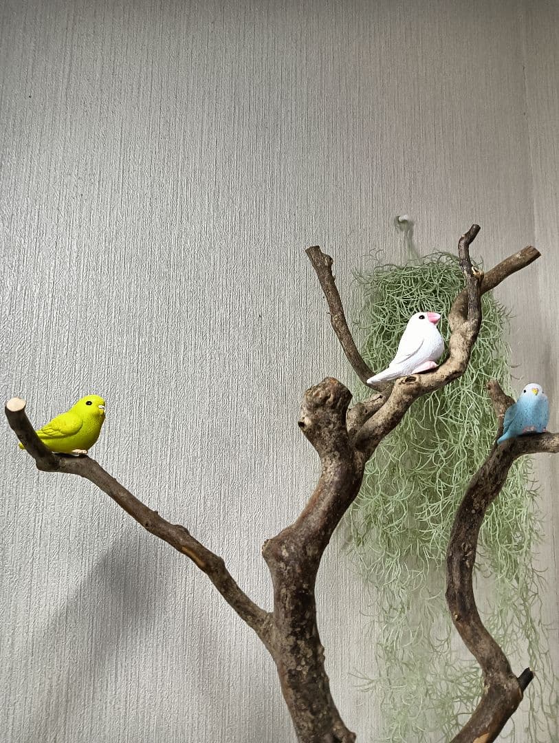 流木527　小鳥止まり木　卓上　バードアスレチック