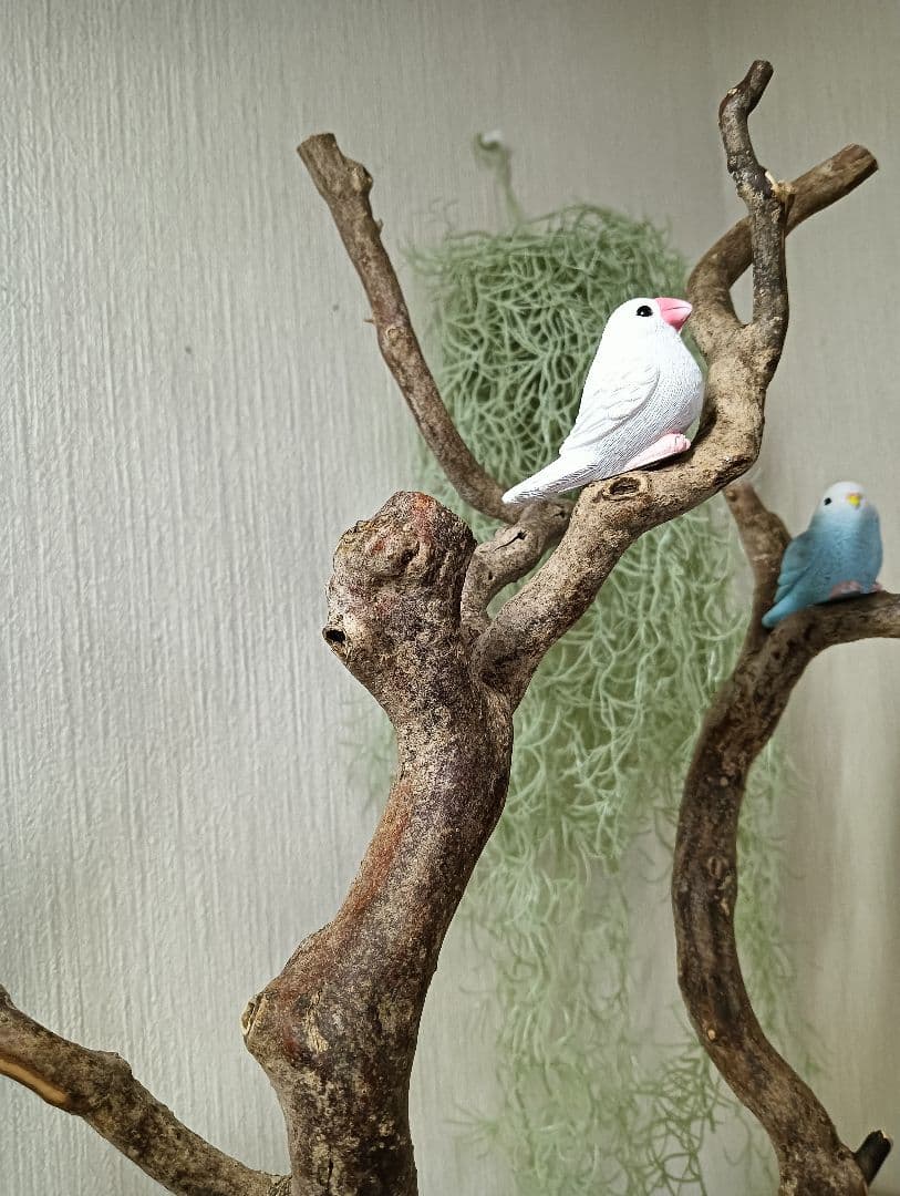 流木527　小鳥止まり木　卓上　バードアスレチック