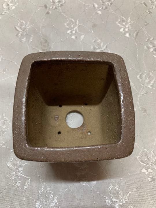 桑津香石　正方　絵鉢　盆栽鉢