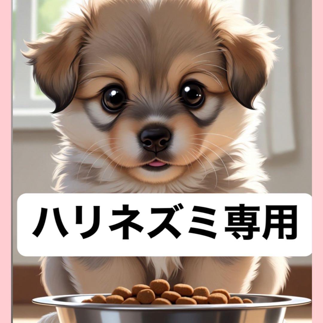 ハリネズミさん専用