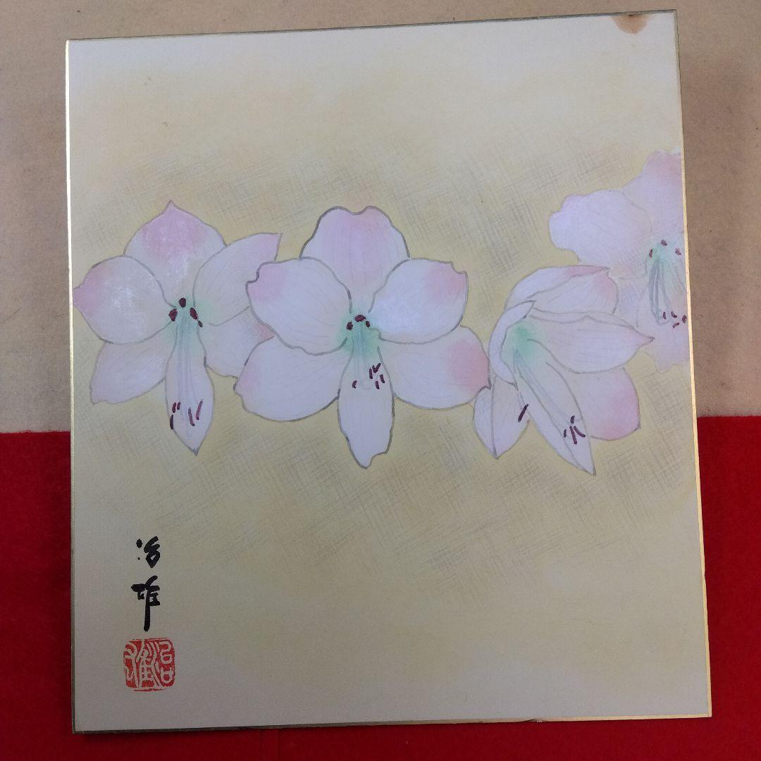 色紙草花絵　塚田清策