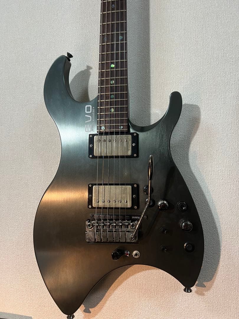 ギター EVO 0202z