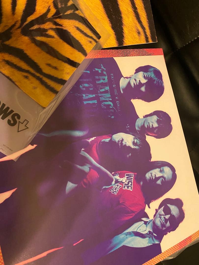 美品★ザ・ハイロウズ　タイガーモービル完全生産限定アナログ盤帯付きLPレコード