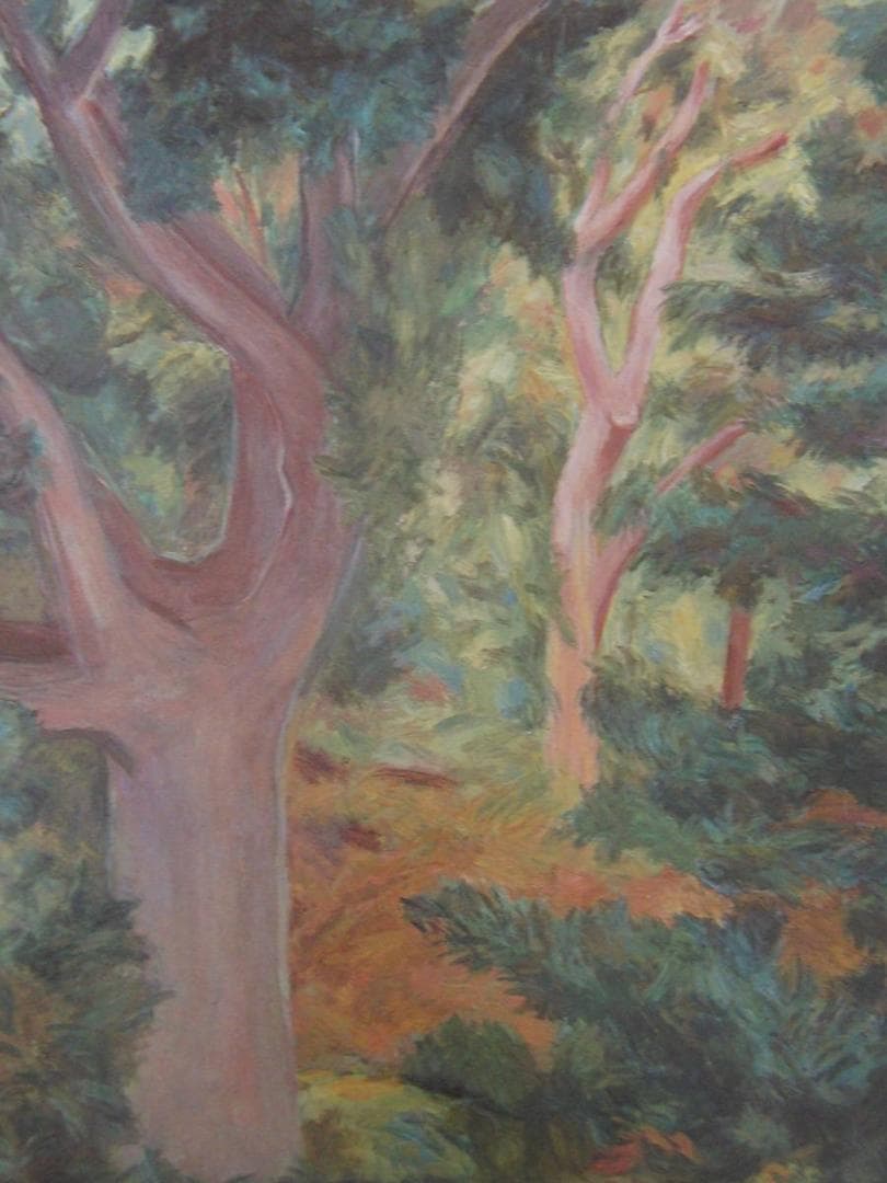 中谷貞彦、【樹影】、希少な額装用画集より、新品額装付