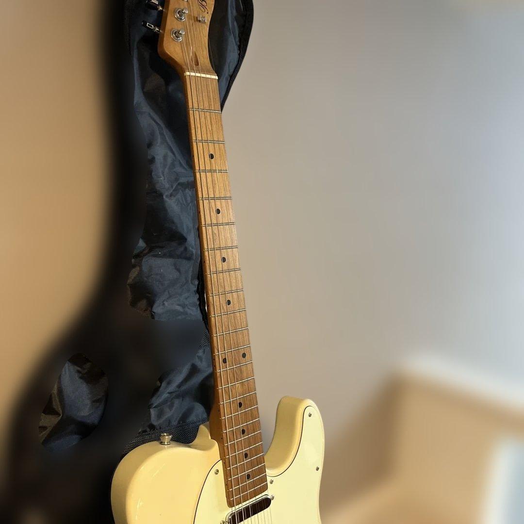 Bacchus BTE-1-RSM/M エレキギター テレキャス