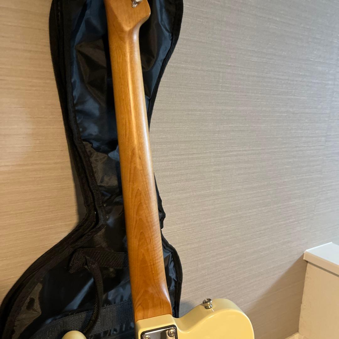 Bacchus BTE-1-RSM/M エレキギター テレキャス