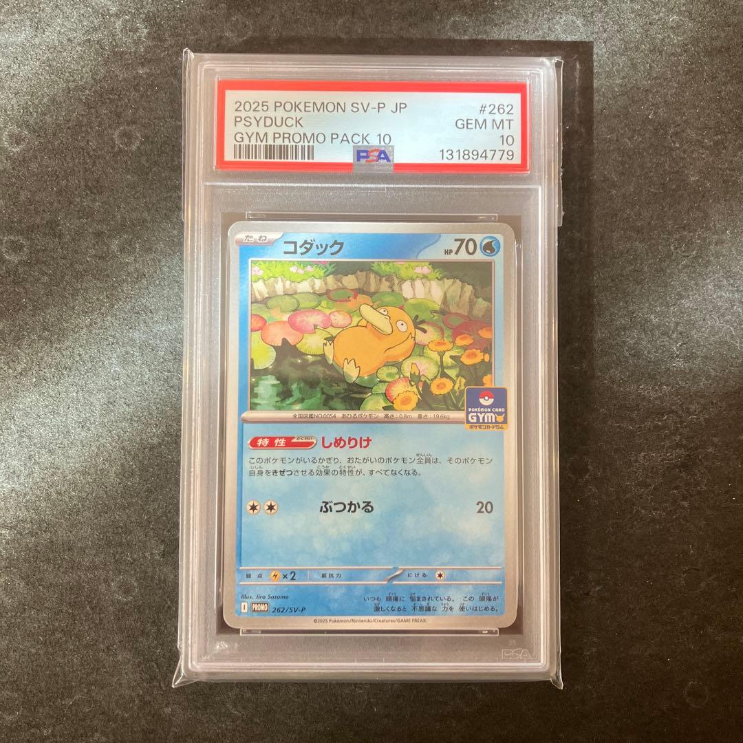 コダック　ゴルダック　GYMプロモ　ジム