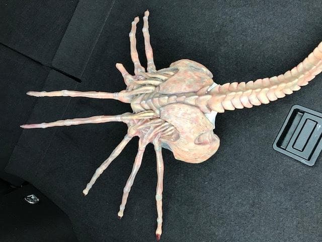 レア！クイーンフェイスハガー　1/1 組立塗装済み完成品　破損有り