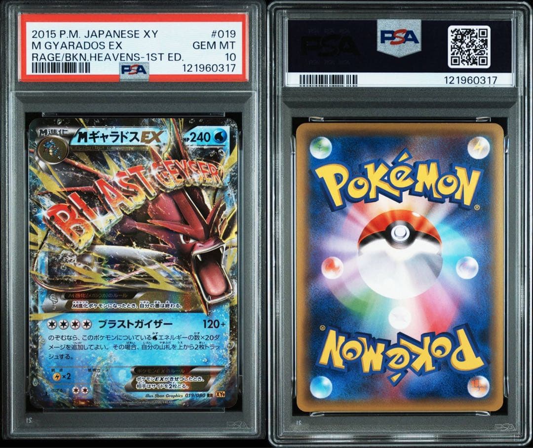 PSA10 MギャラドスEX 019/080 RR XY9 Gyarados