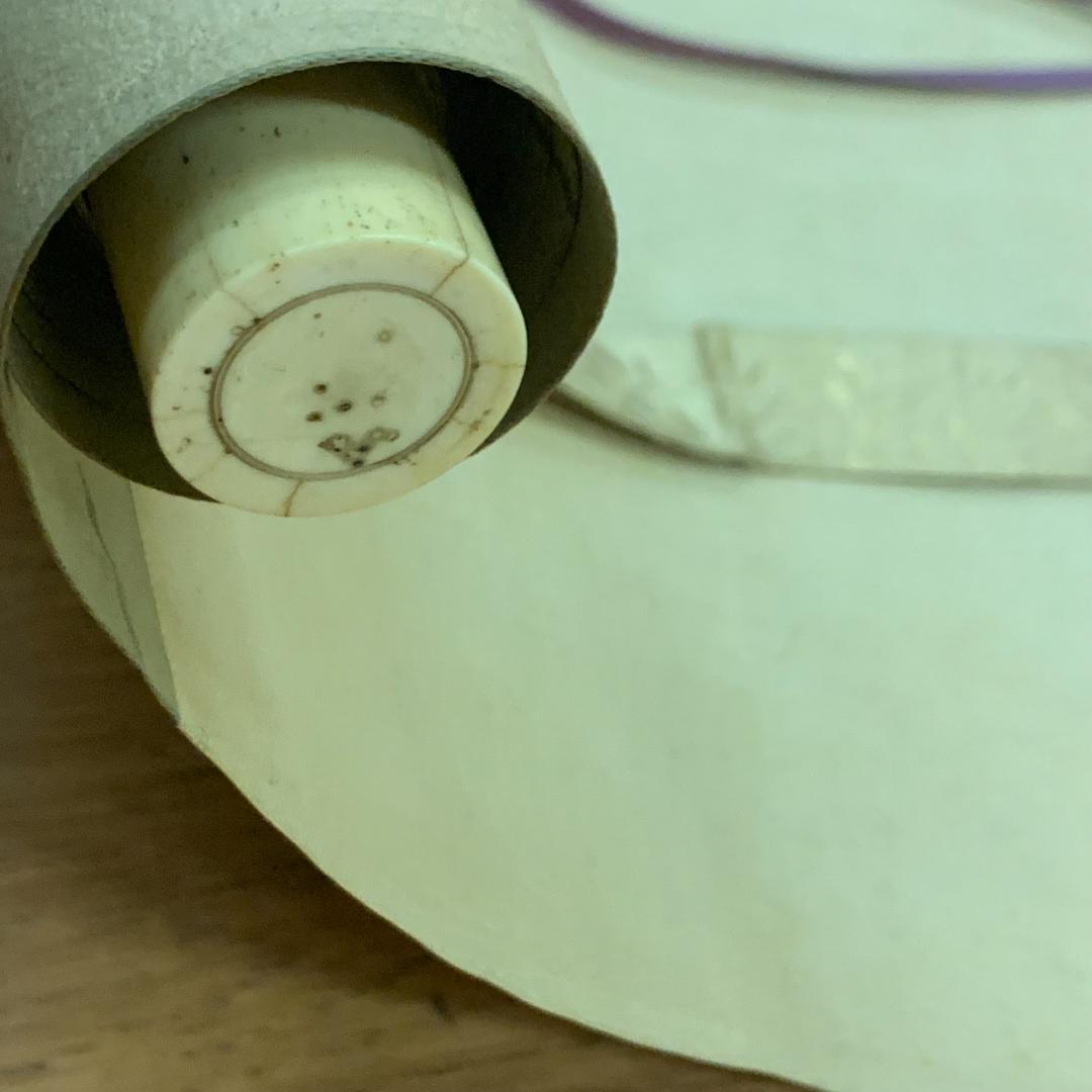 椿に柳　呉春　松村月渓　共箱付き　希少　落款