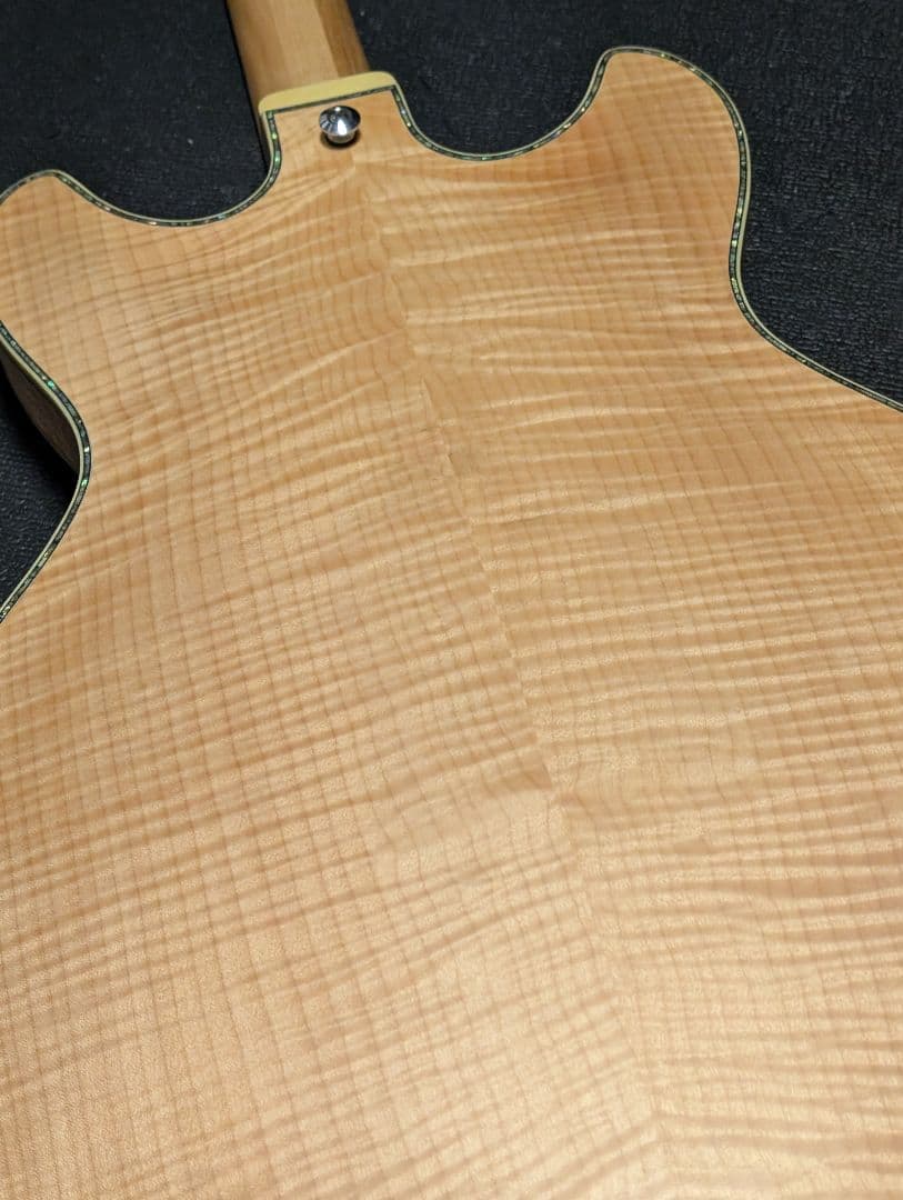 ARTSTAR ASV113　 美品　ハードケース付