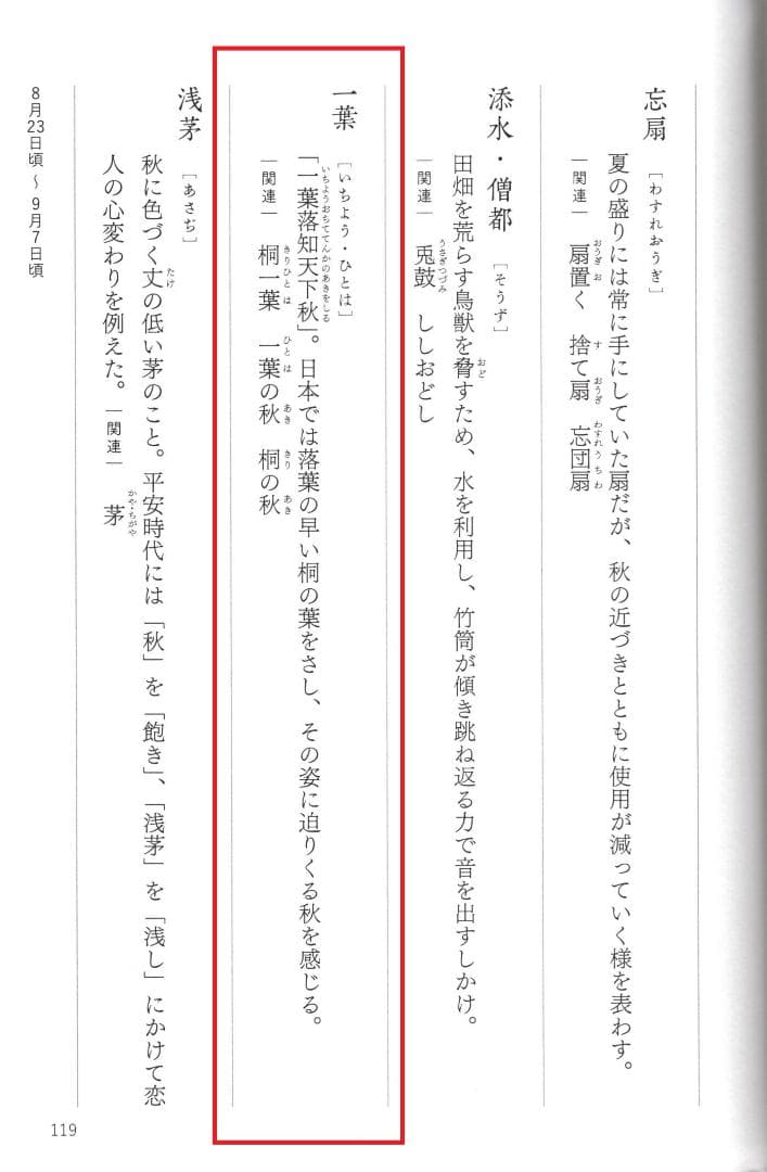 大徳寺511世管長 立花大亀造『竹茶杓』銘：一葉（共箱・共筒）