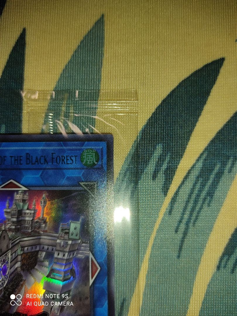 天元の荒鷲王 黒き森の航天閣