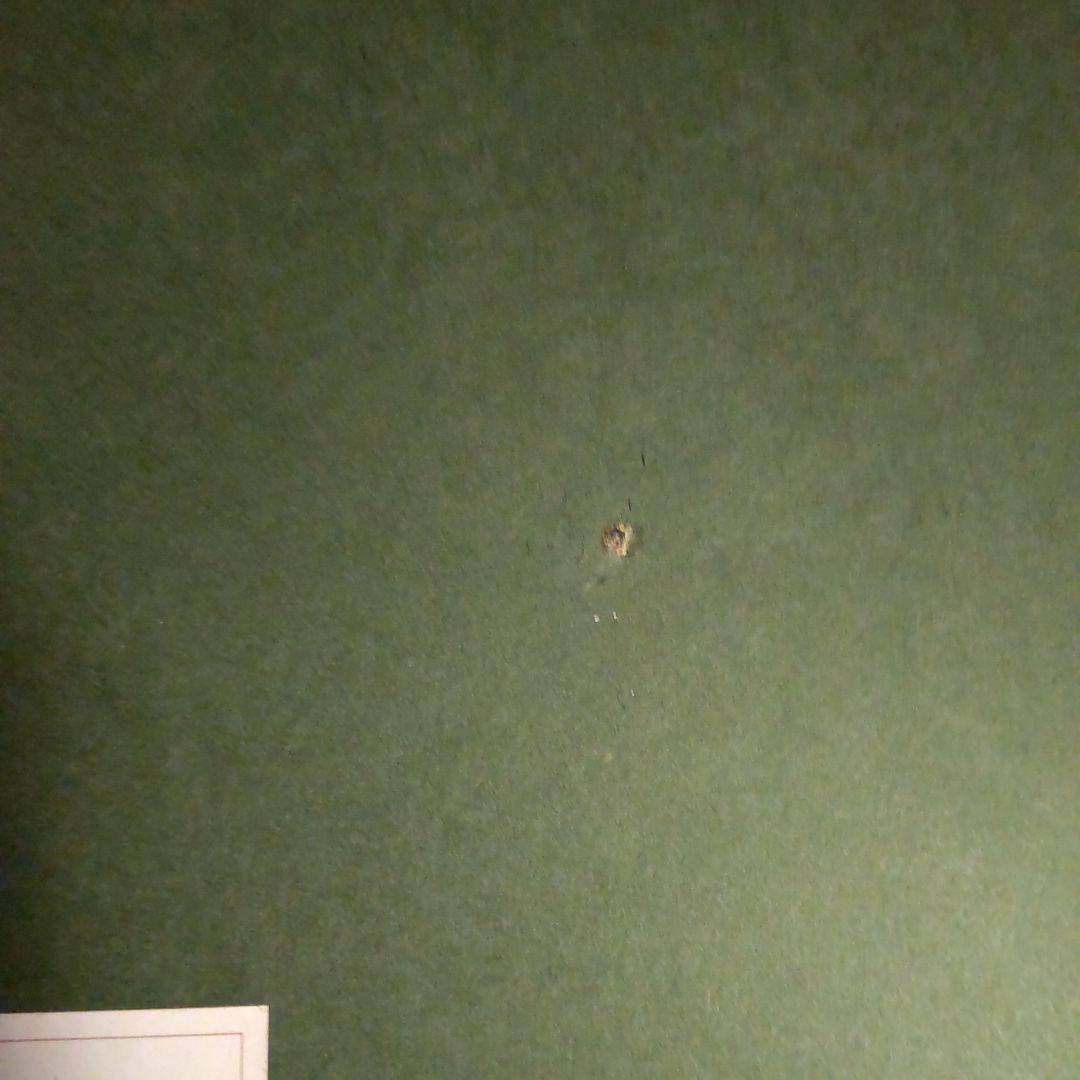 速水御舟　鍋島の皿に柘榴　木版画