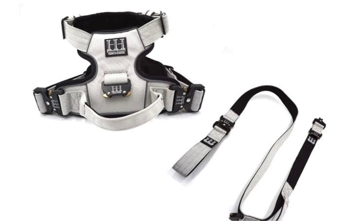 大型犬 英国高級 ハーネス リード カーラー(首輪) お散歩バック リボン