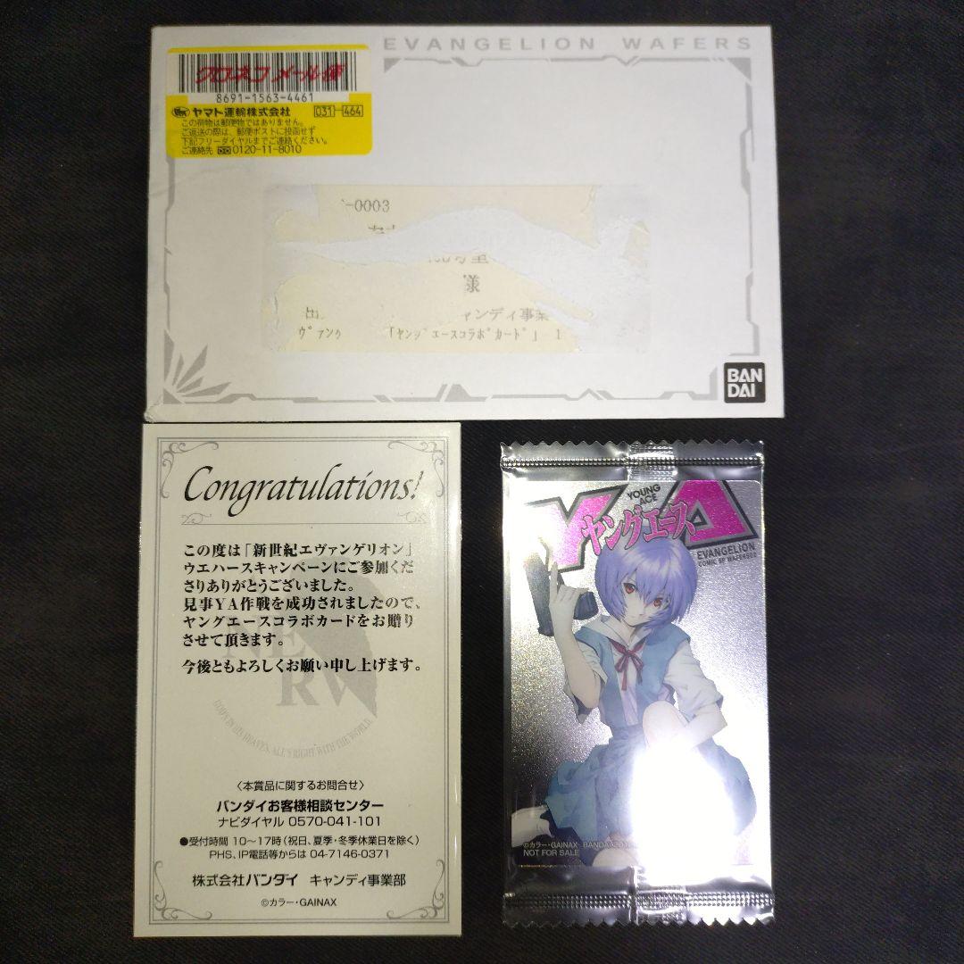 綾波レイ　ヤングエース　カード　当選品　5000枚