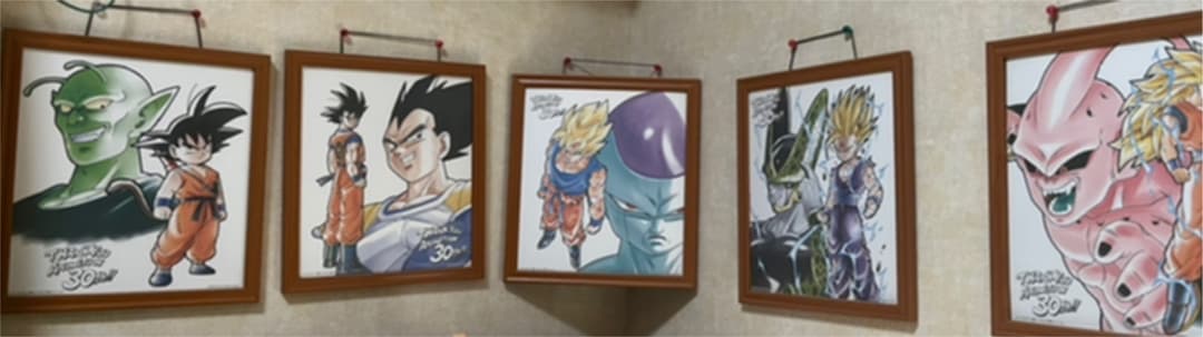 【ファン必見!】　ドラゴンボール　30th色紙