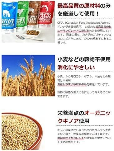 残り4個【新品・2個set】グリーントライプ＆バイソン 2.72kg ドライ