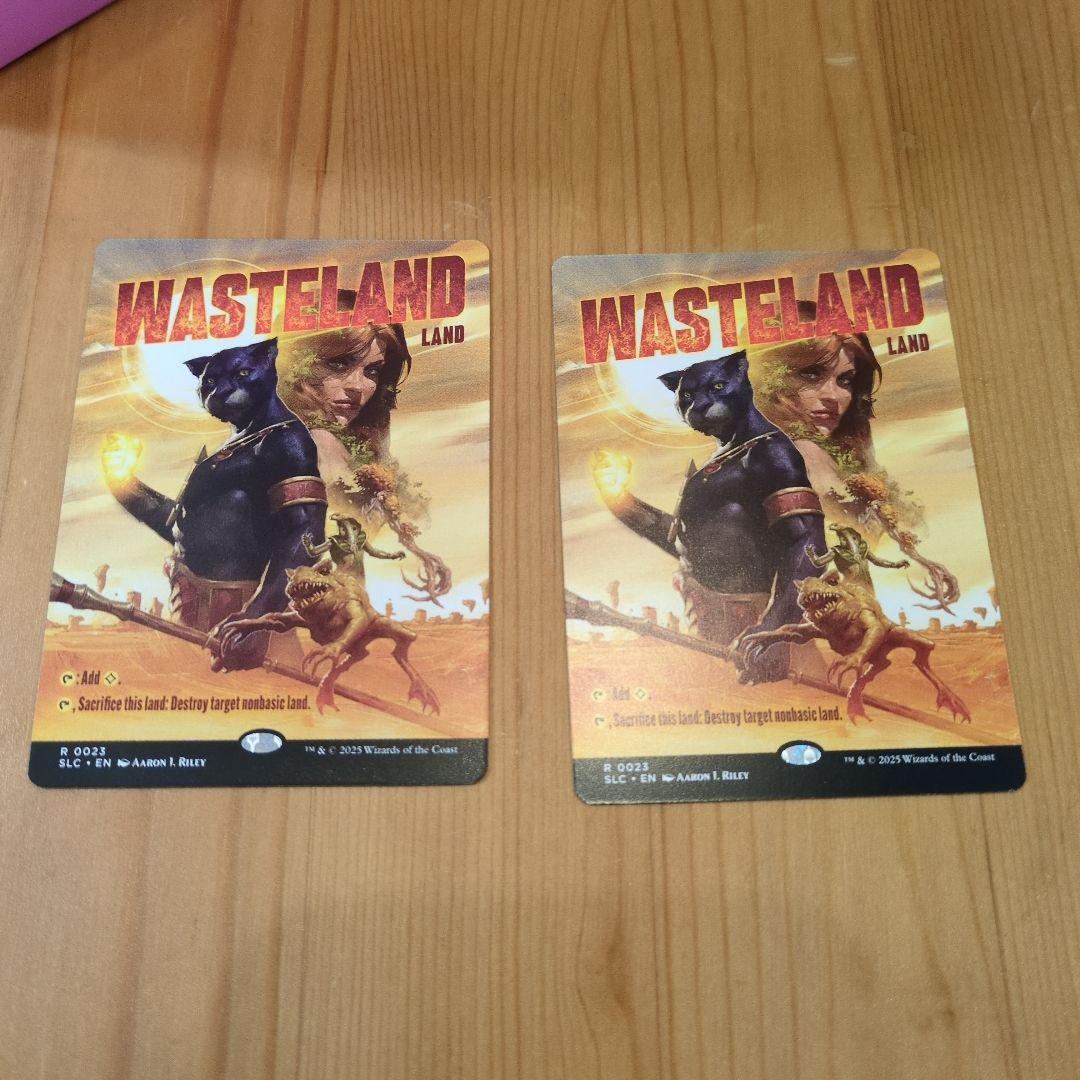 不毛の大地　2枚　ノーマル　secret lair wasteland