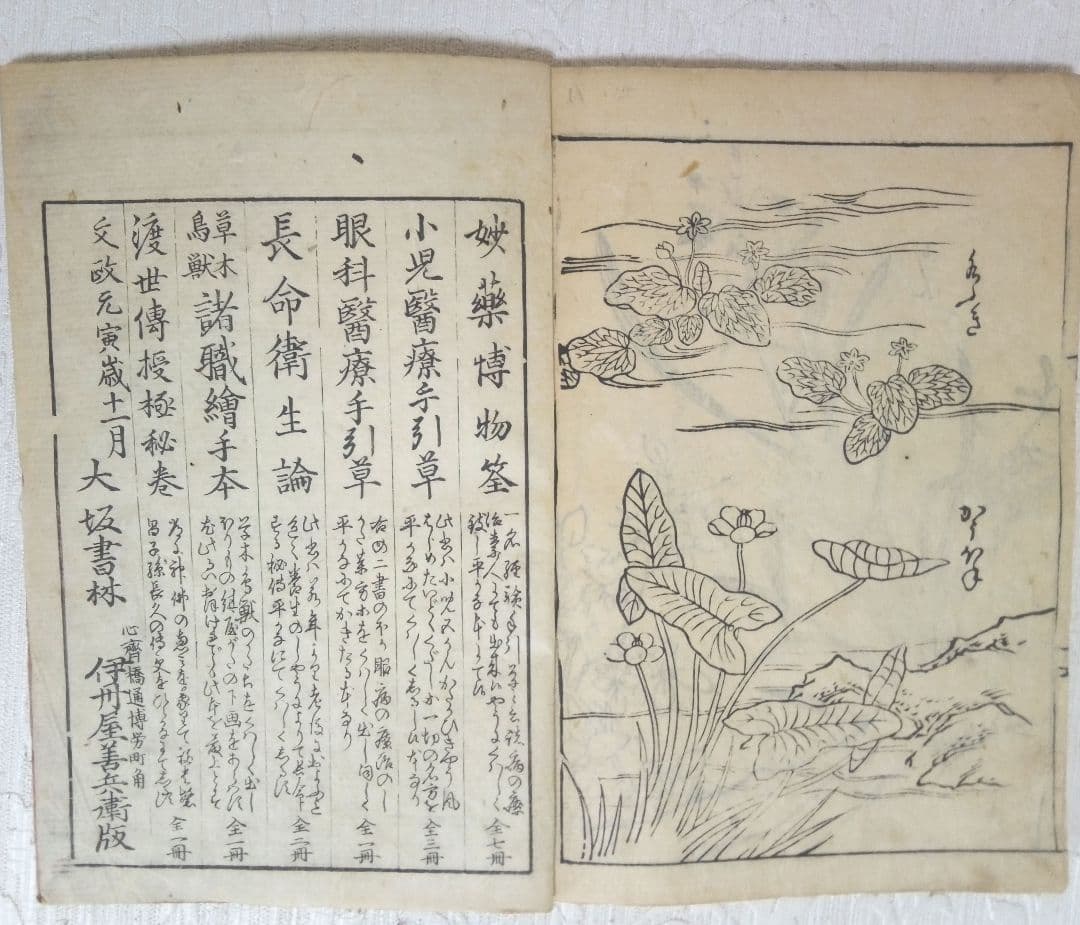 草木鳥獣諸職繪手本(黒摺り版画本)紀朝臣敏作画、伊舟屋善兵衛板、文政元年出版