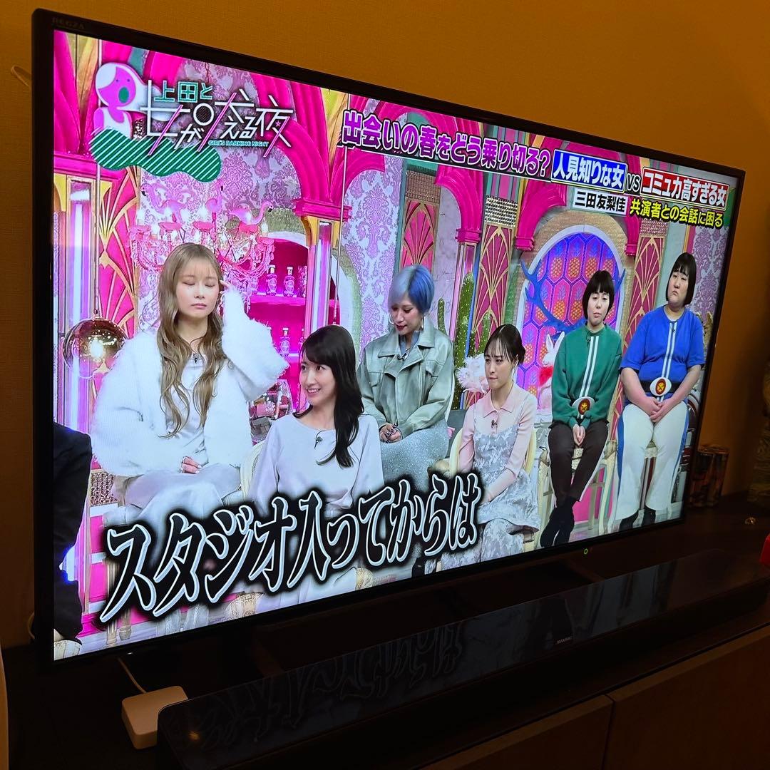 REGZA 49インチ 液晶テレビ