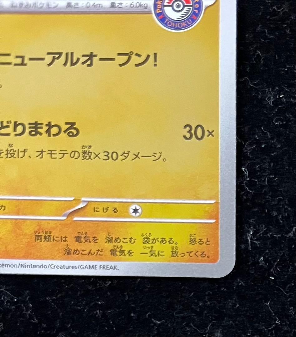 トウホクのピカチュウ ②