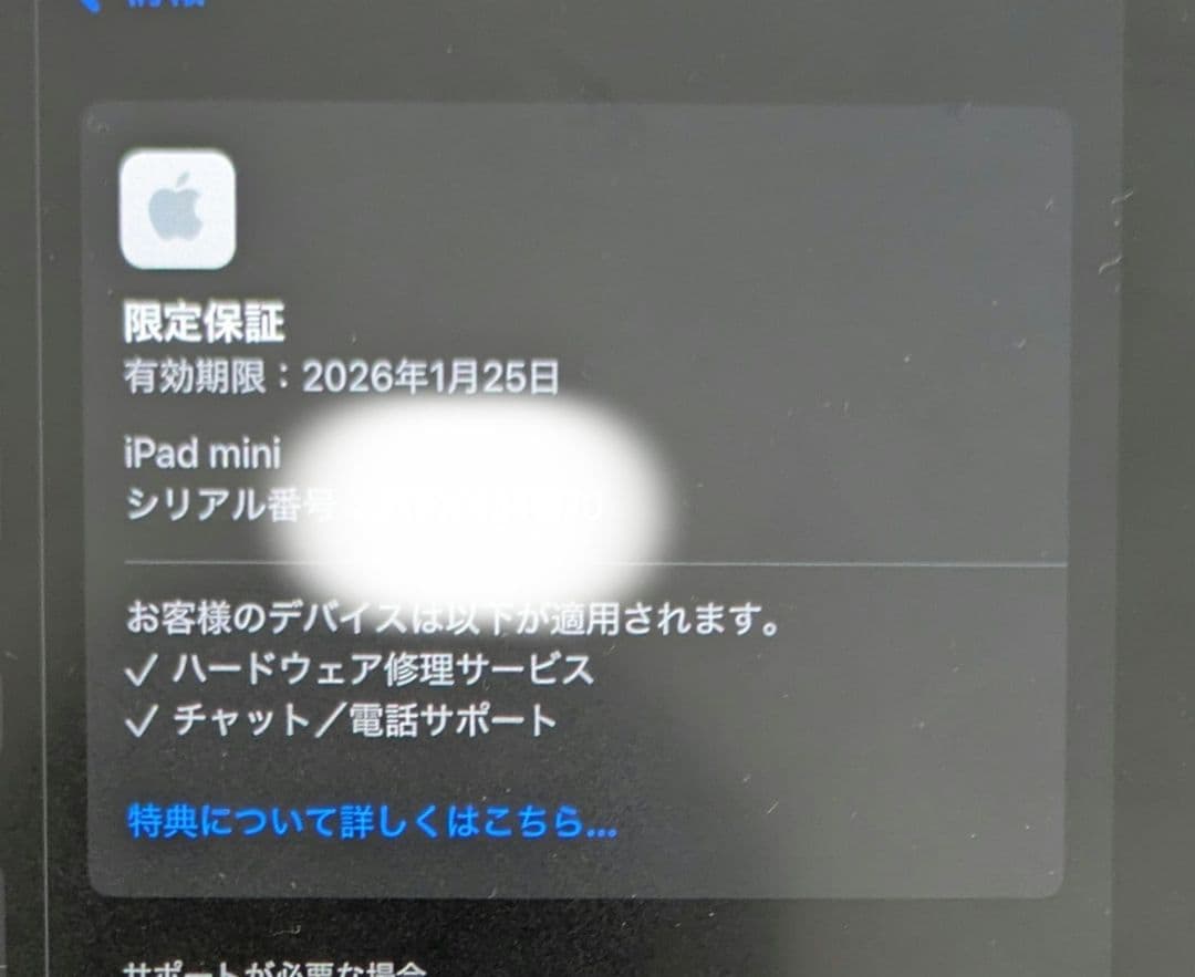 Vân Nguyễn様 Apple iPad mini 第7世代 スペースグレイ