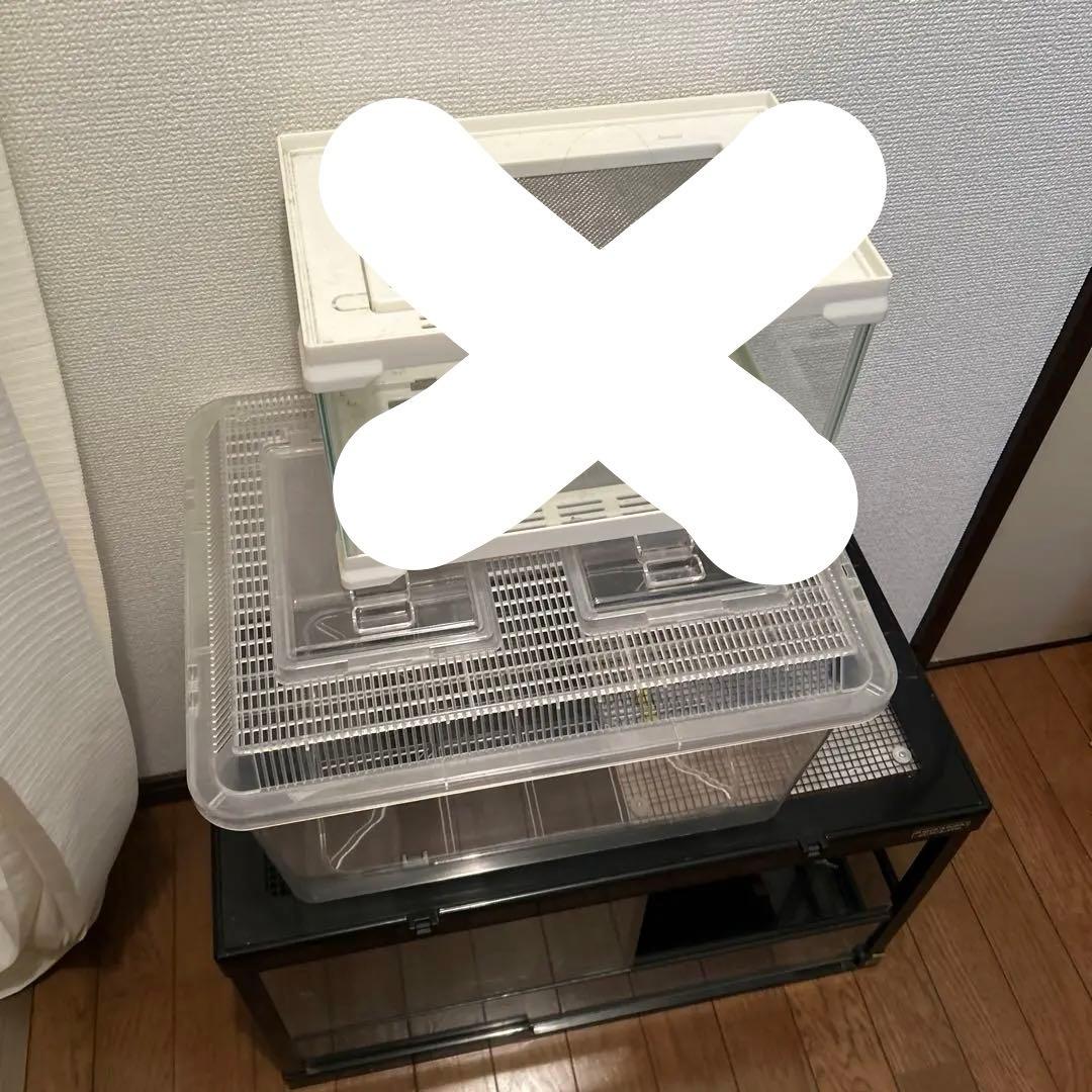 爬虫類・両生類 飼育ケージ 2つセット　ダントツ付き