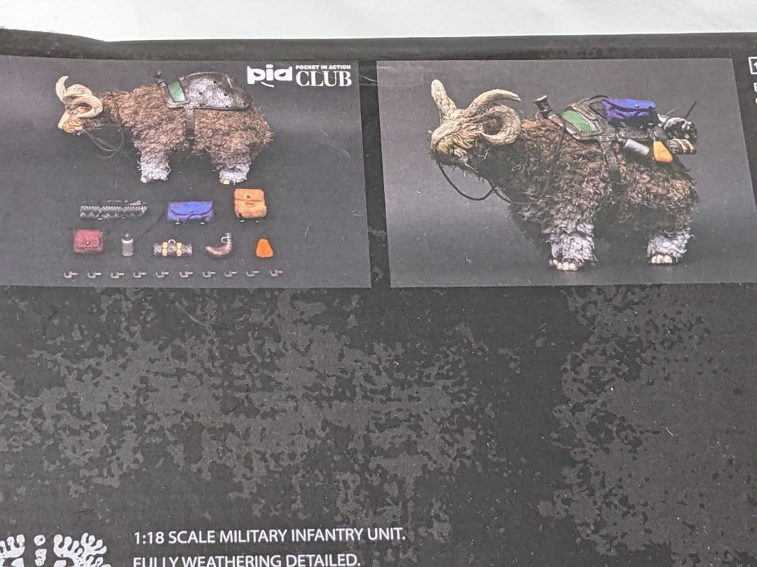 アシッドレイン　セット