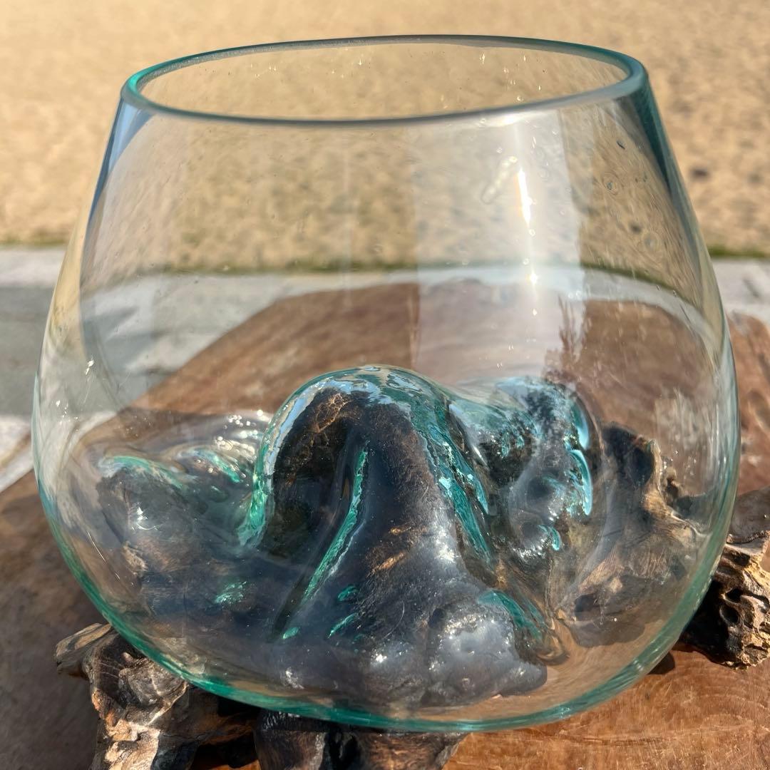 流木ガラス オブジェ中P 花瓶 金魚鉢 ガーデニング テラリウム 観賞魚 容器