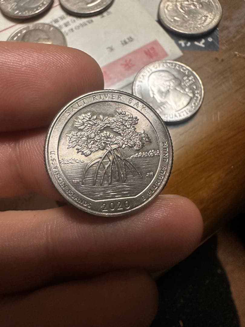 2020年発行アメリカのソルトリバーベイ国立歴史公園記念25セント硬貨Pマーク